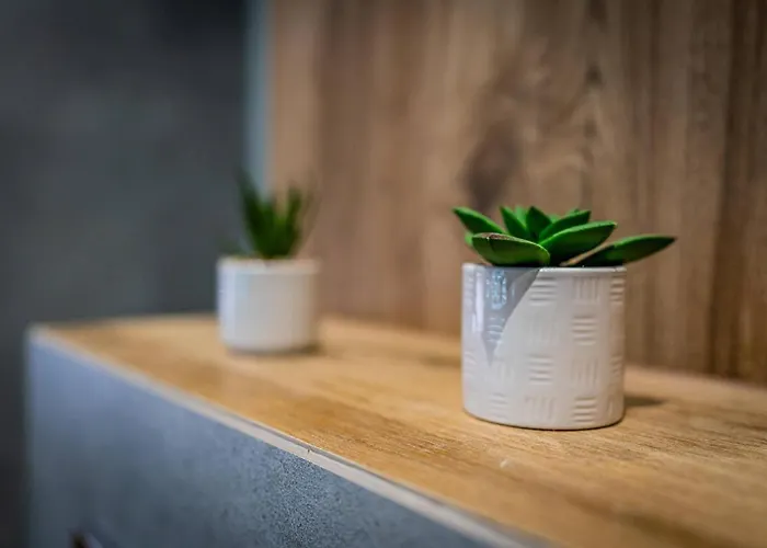 Ustronne Lisciasta Apartman *